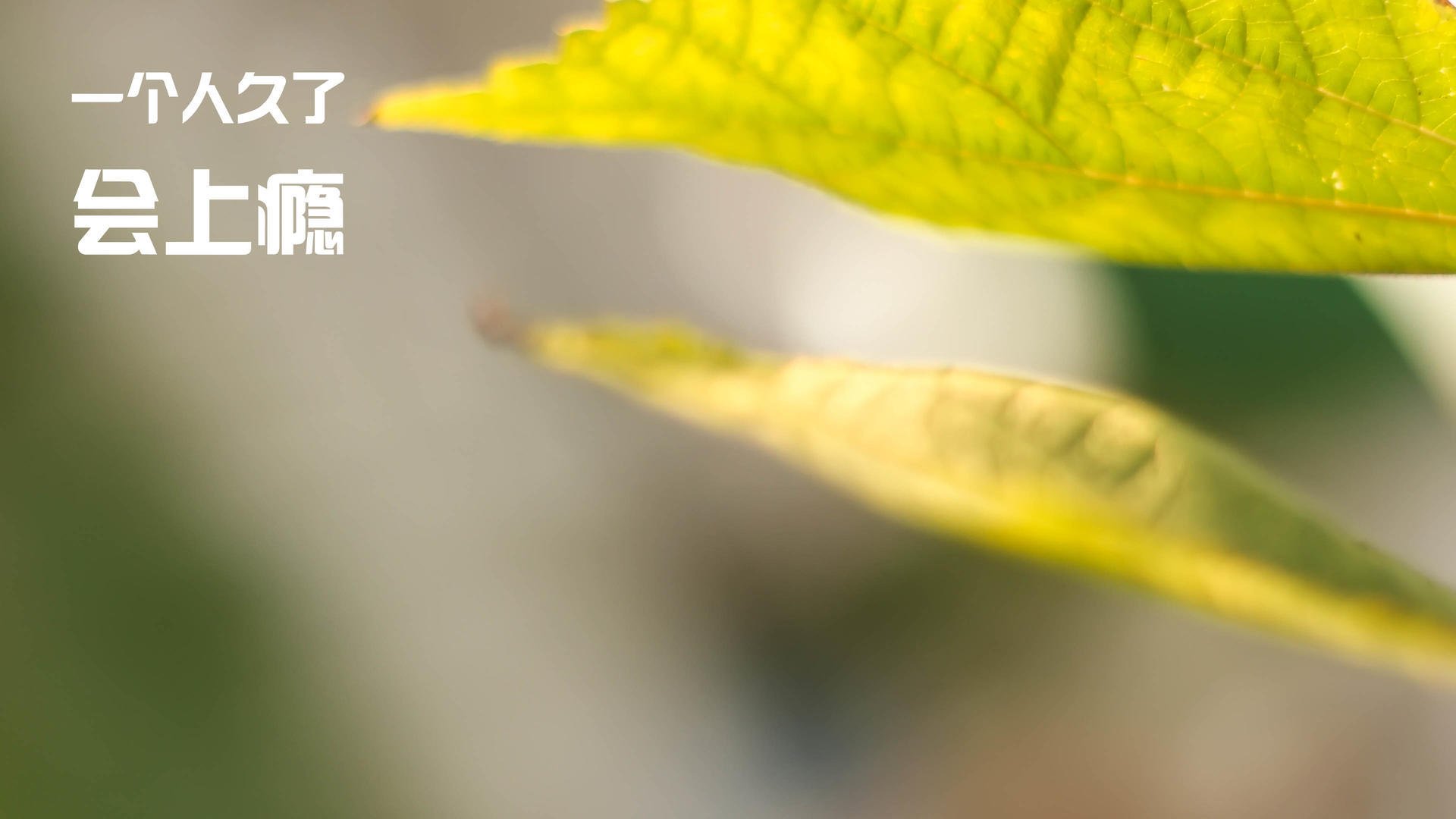 意甲青训引入心理压力管理训练提升球员稳定性，意甲青训怎么算