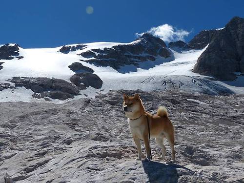法甲VAR系统语义处理模块提升判罚透明度和公平性