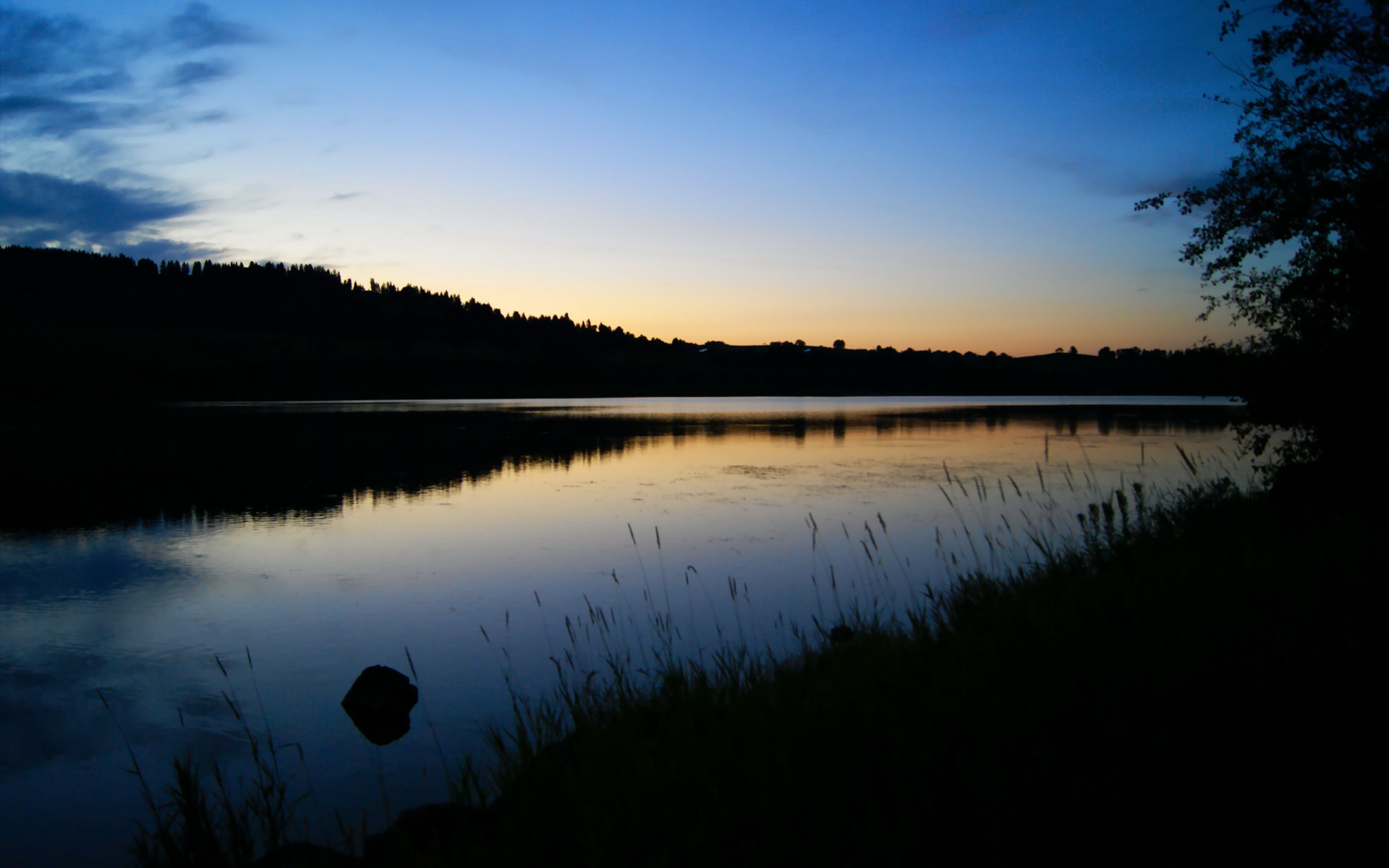 球队核心受伤后的临时战术调整方案