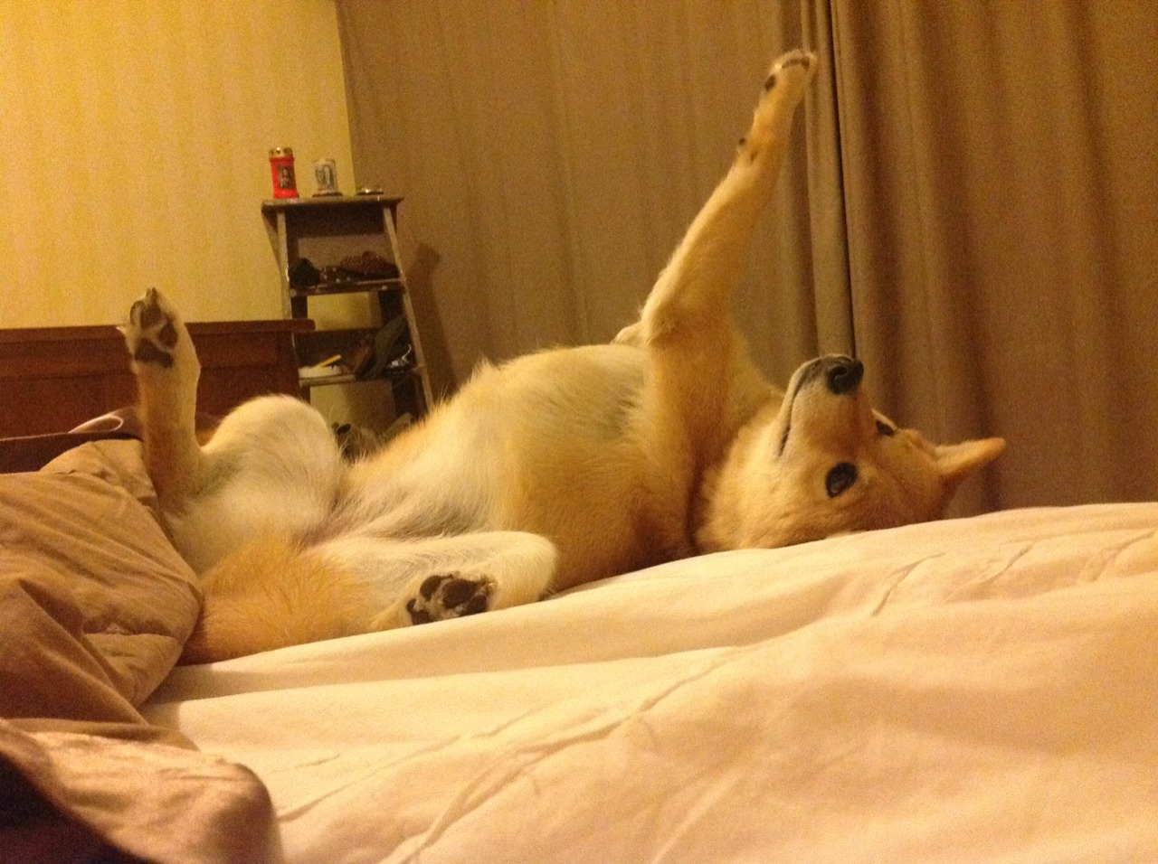 裁判尺度变化是否影响联赛风格与节奏走向，裁判的规则