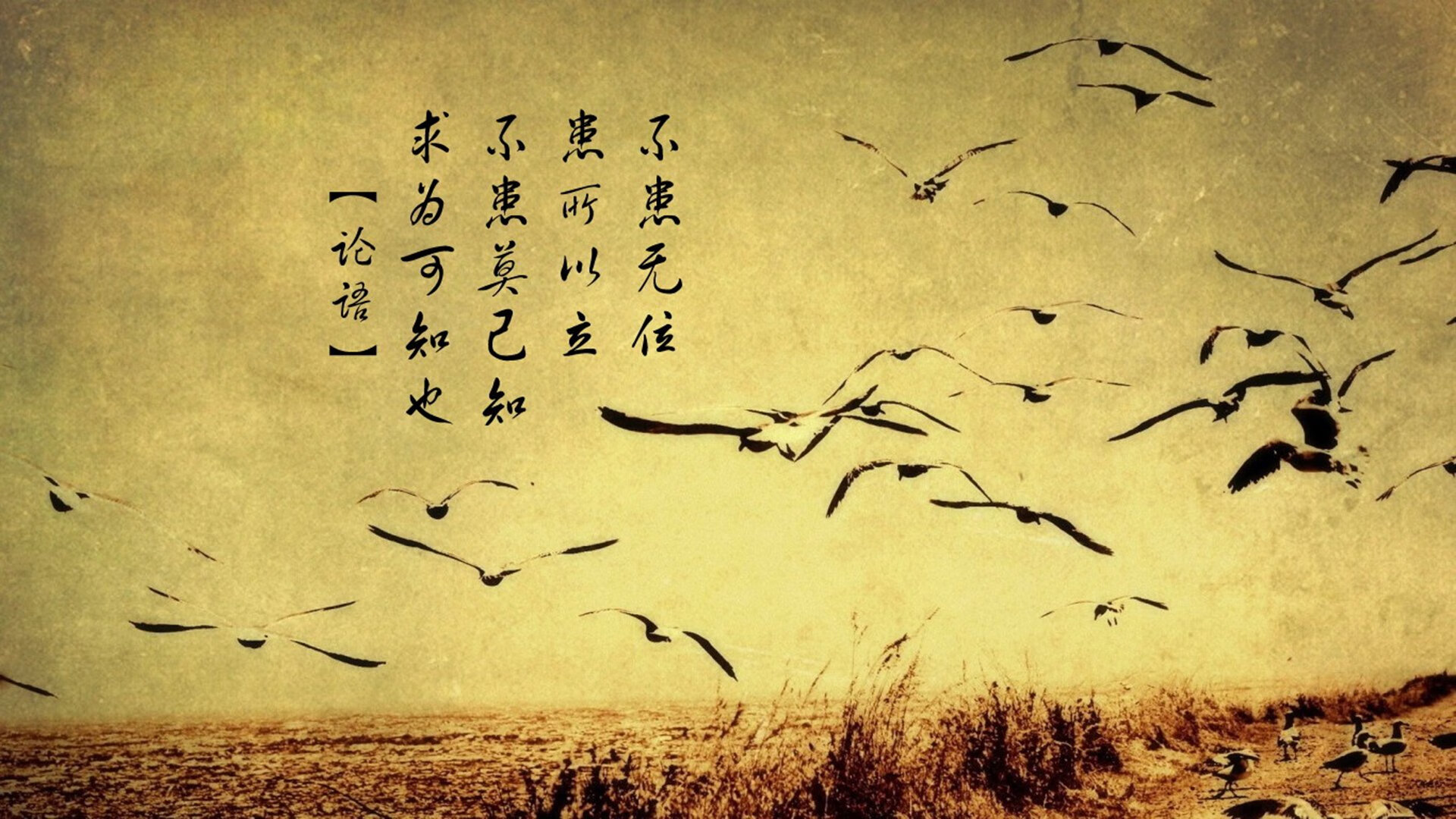 裁判尺度变化是否影响联赛风格与节奏走向，裁判的规则