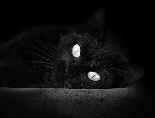 CBA完善裁判培训体系确保执法公平公正,cba裁判员培训班